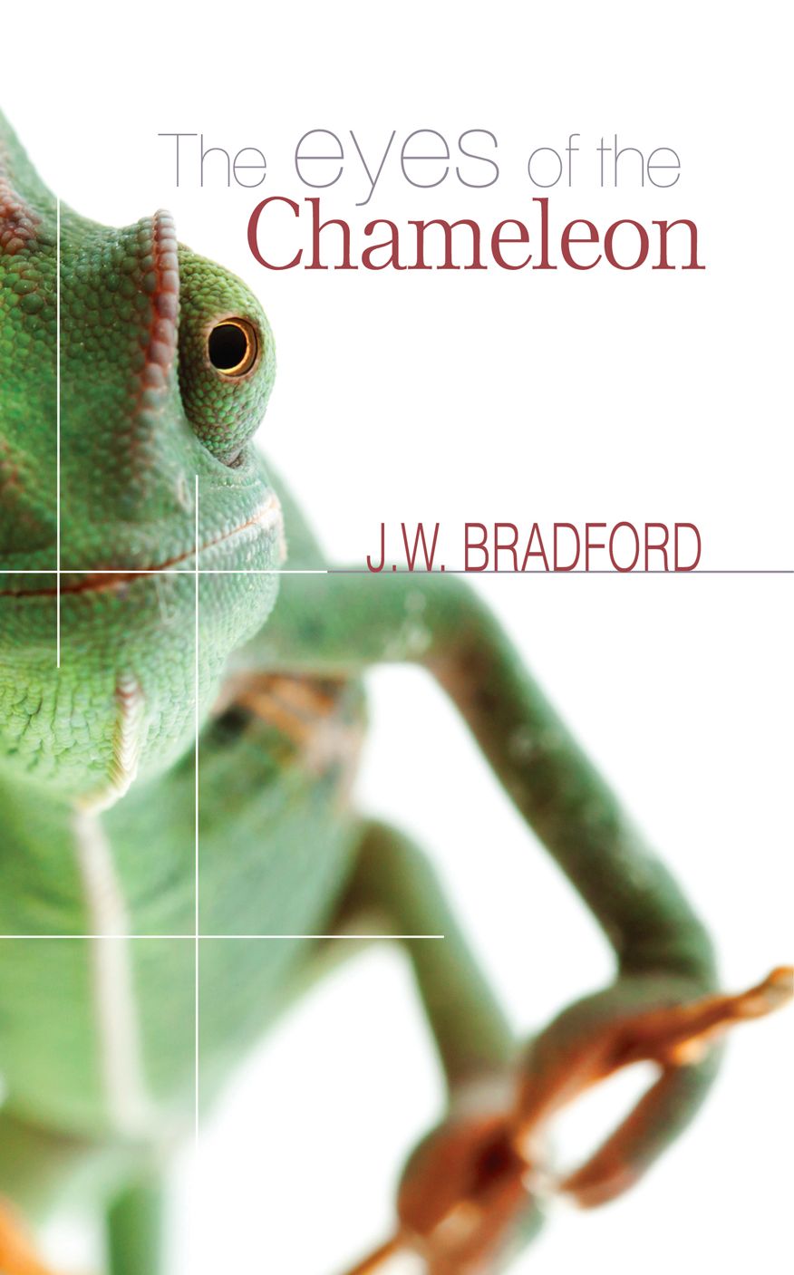 The Eyes of the Chameleon