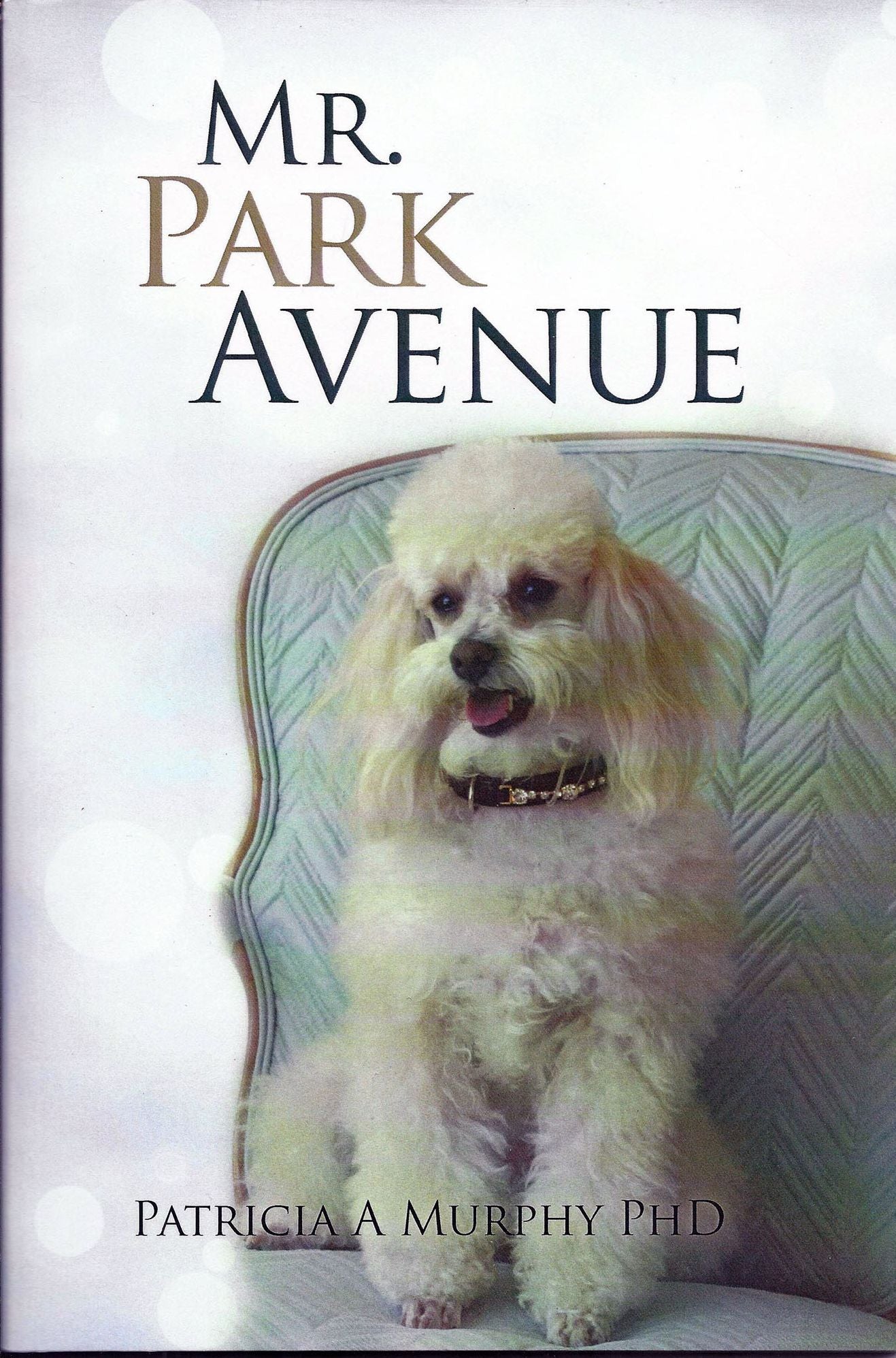 Fiction. Mr.Park Ave Nov10 2013