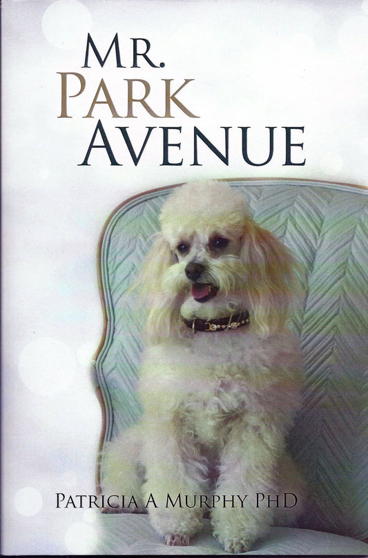 Fiction. Mr.Park Ave Nov10 2013