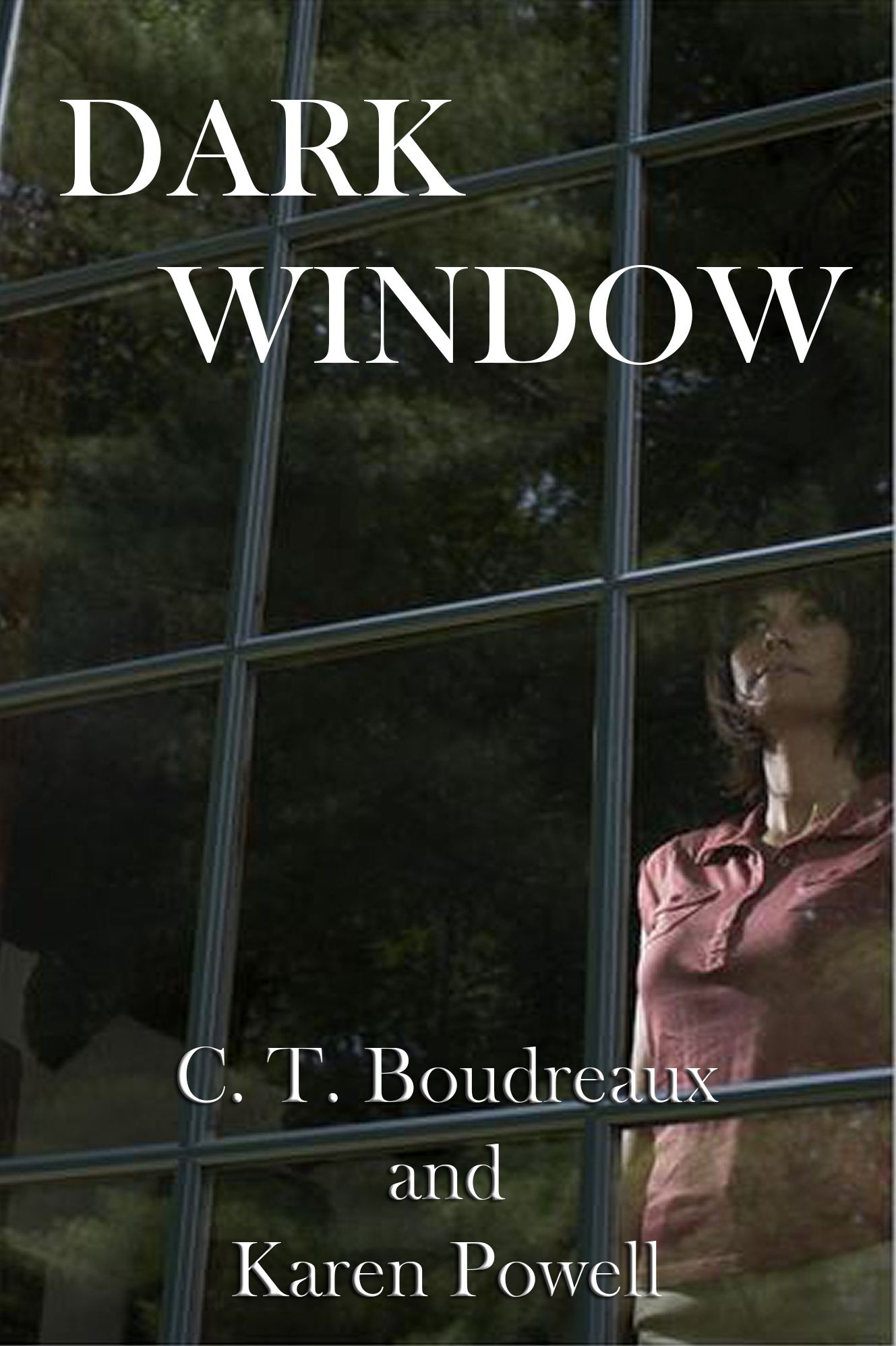 Dark Window