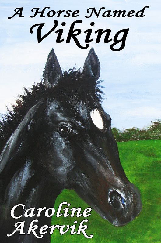 A Horse Named Viking