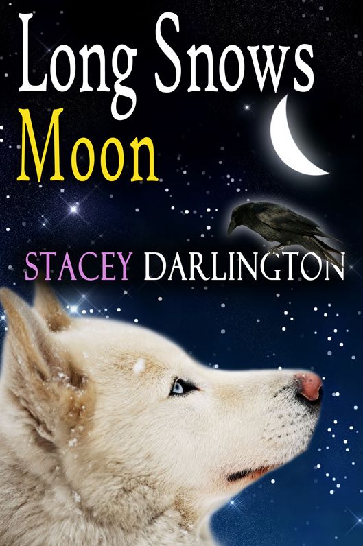Long Snows Moon