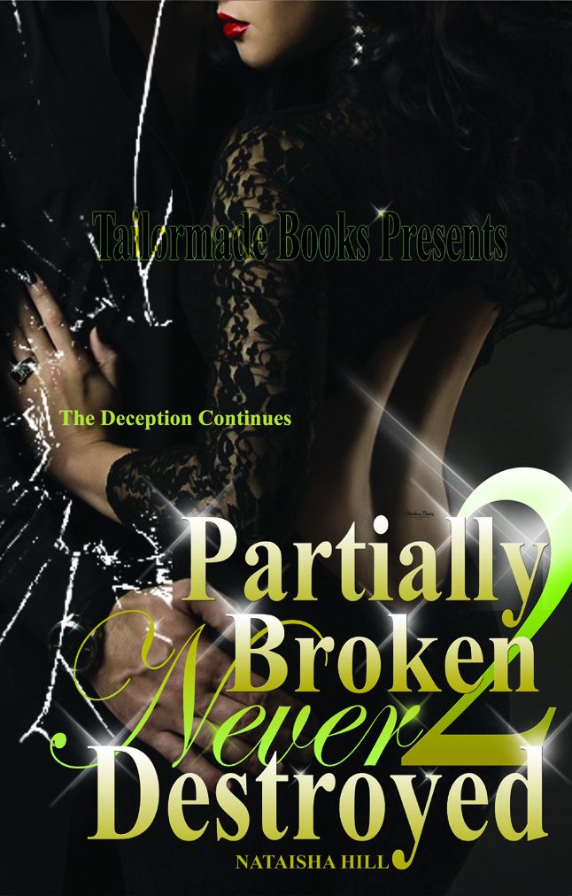 Partially Broken Never Destroyed II: Mirror Mirror