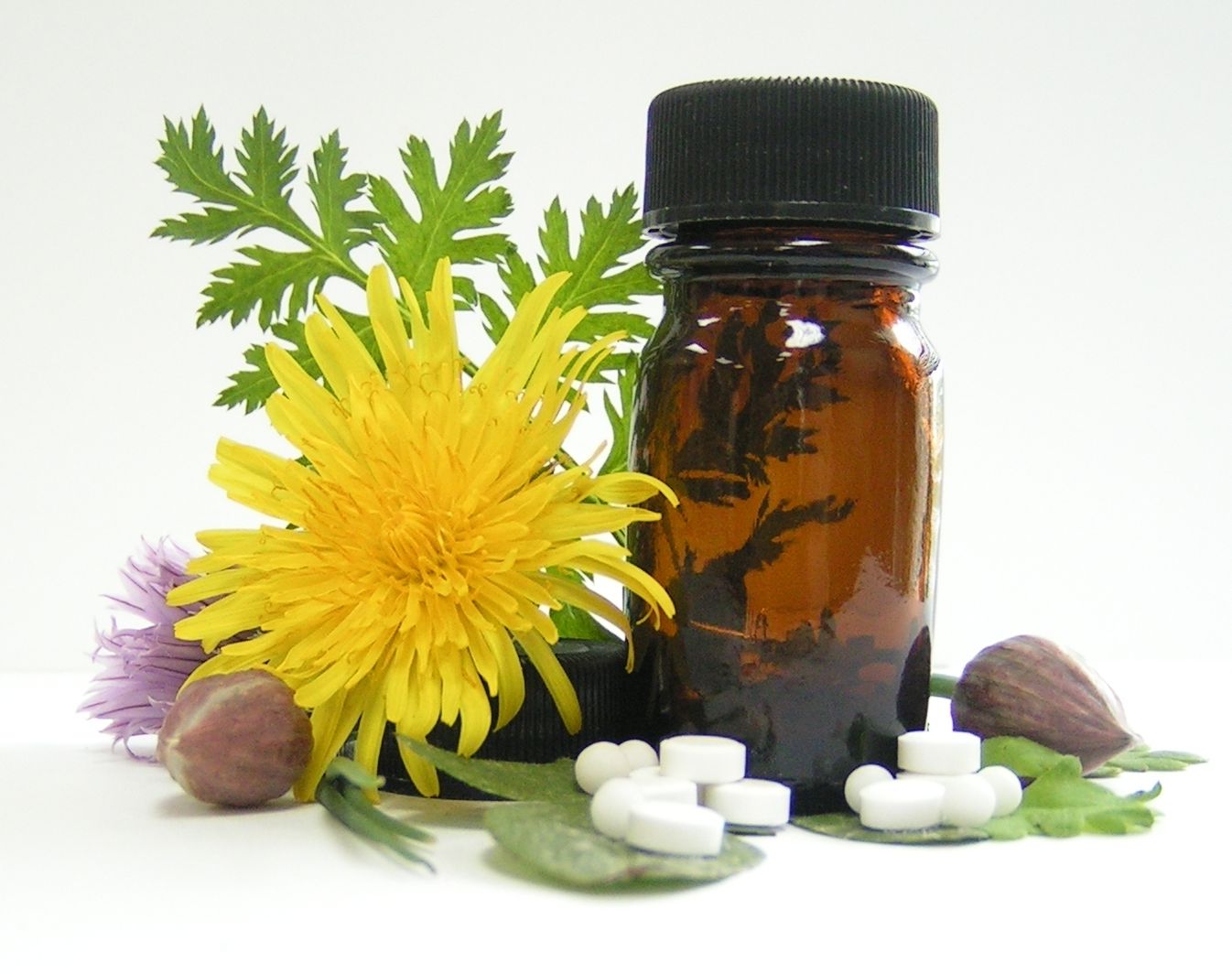 Best Sellers A Lecture on Homeopathy(Annotated) ( School Of Homeopathy, Homeopathy Hair, Homeopathy Doctors, Study Homeopathy, Eczema Homeopathy, Homeopathy Blood, Homeopathy Books, Asthma Homeopathy, Thyroid Homeopathy, Autism Homeopathy )