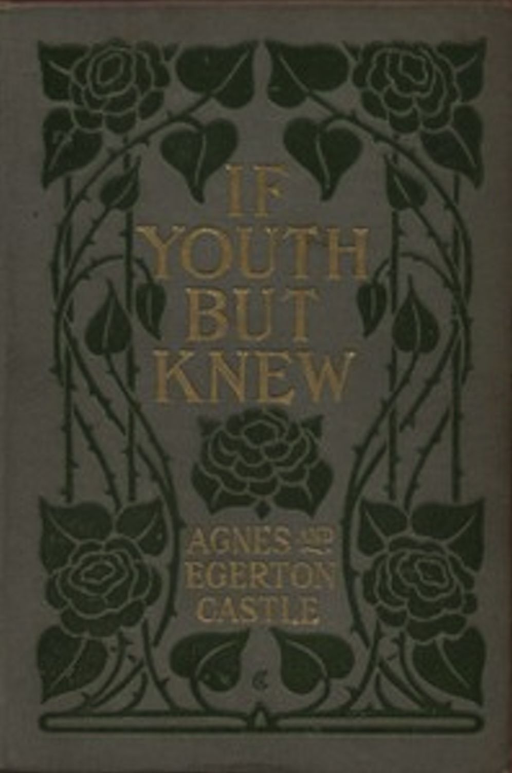 If Youth but Knew! (Illustrated)