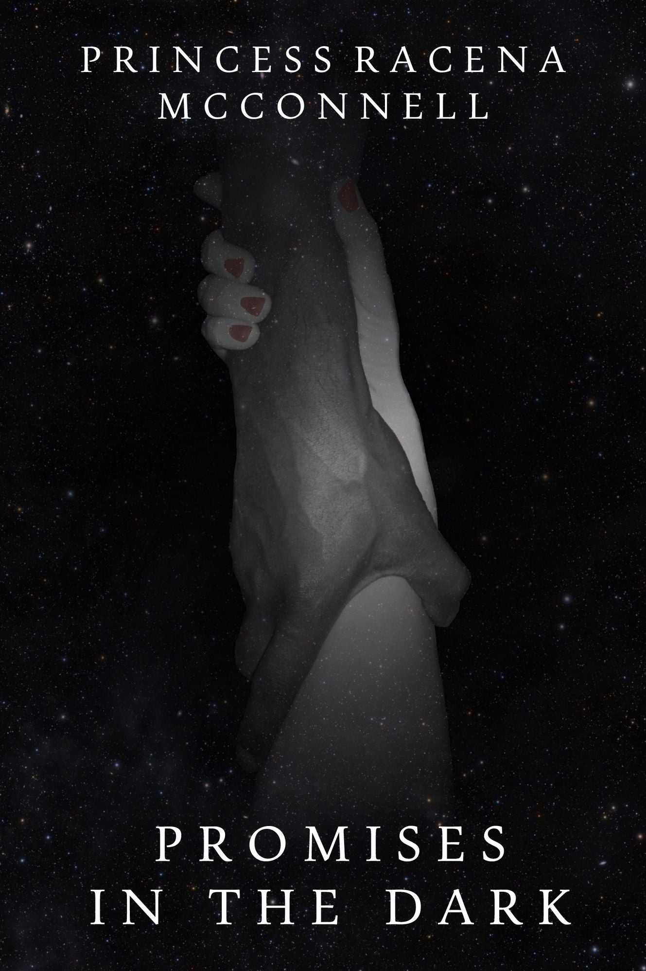 Promises In The Dark