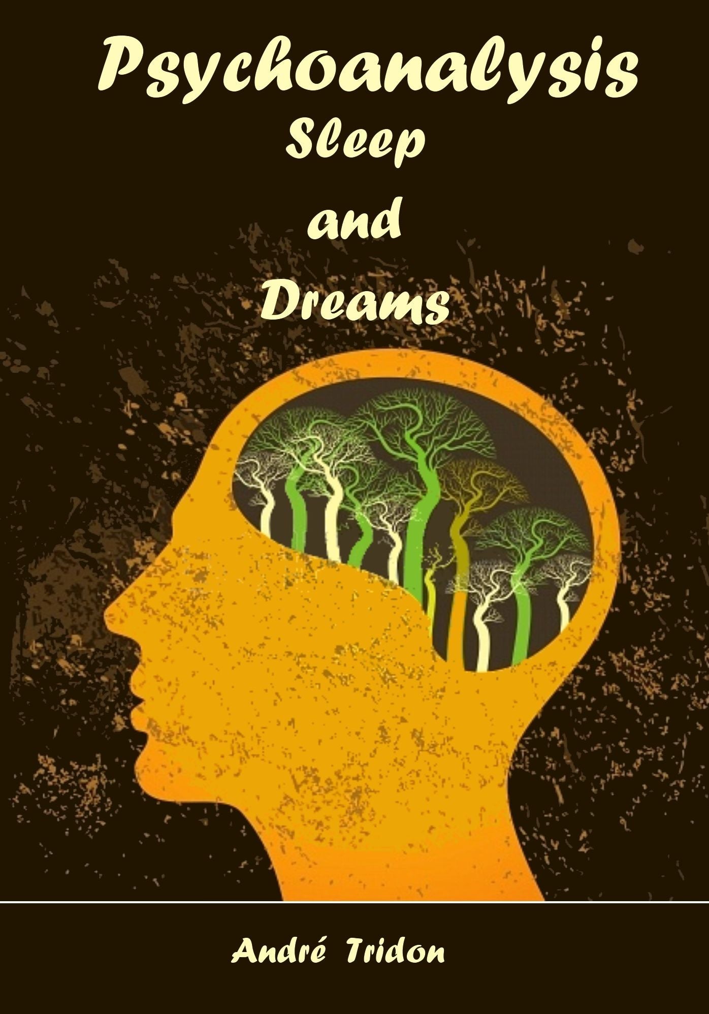 Psychoanalysis : Sleep and Dreams (Illustrated)