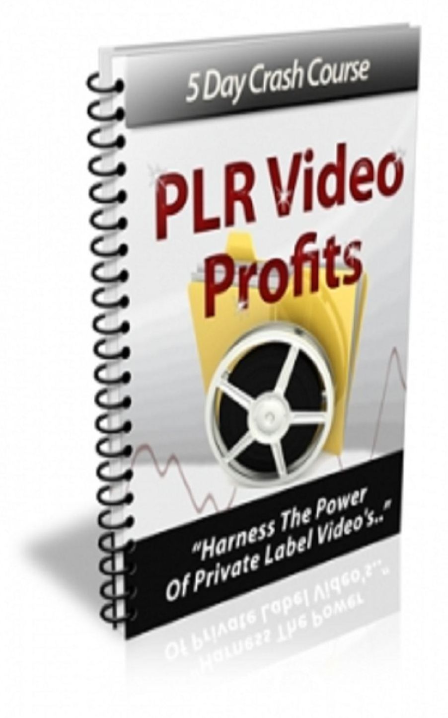 PLR Video Profits