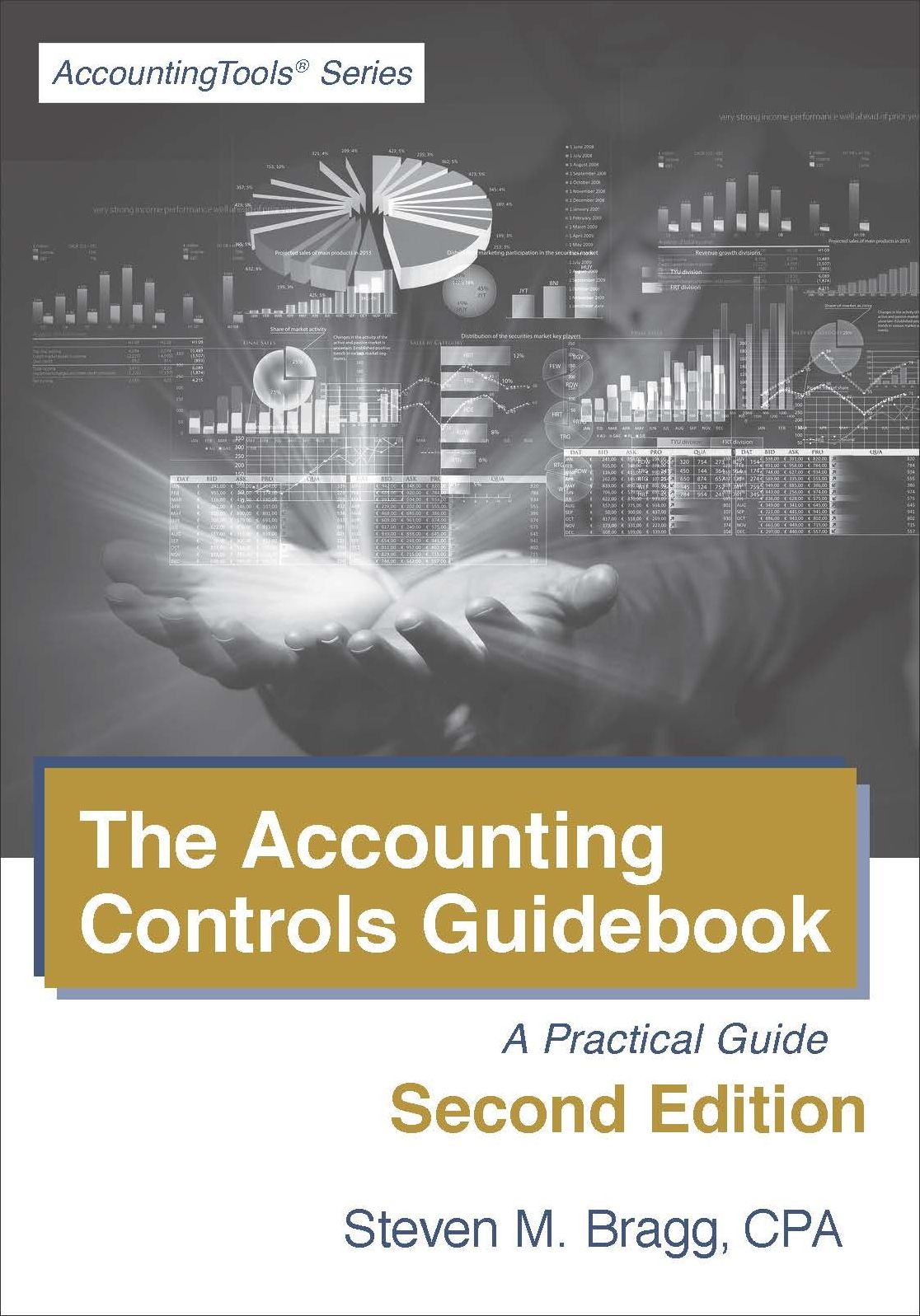 Accounting Controls Guidebook: Second Edition