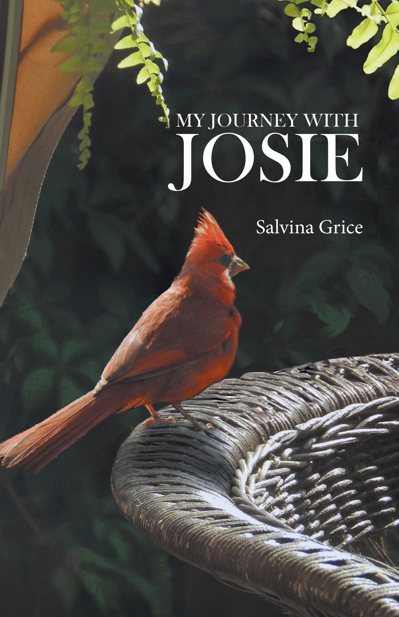 My Journey with Josie: A Sister's Memoir of a Familys Struggle with Terminal Cance
