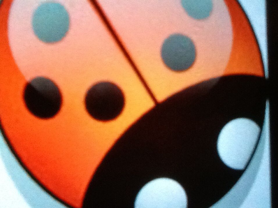 Little Flower and the Ladybug