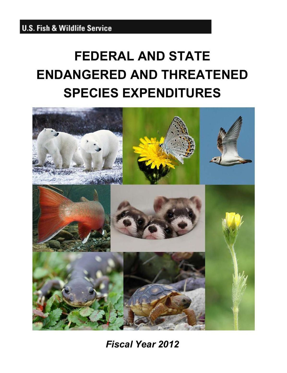 FEDERAL AND STATE ENDANGERED AND THREATENED SPECIES EXPENDITURES