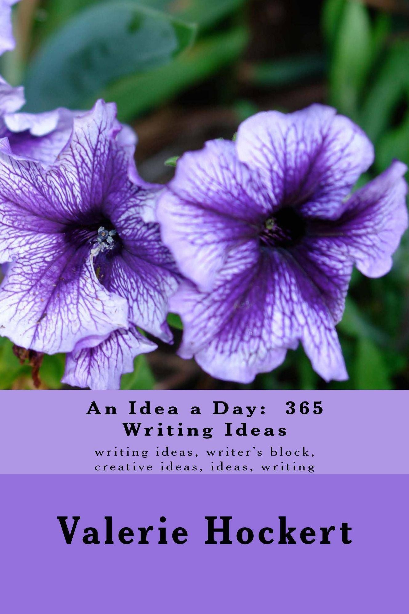 An Idea a Day: 365 Writing Ideas