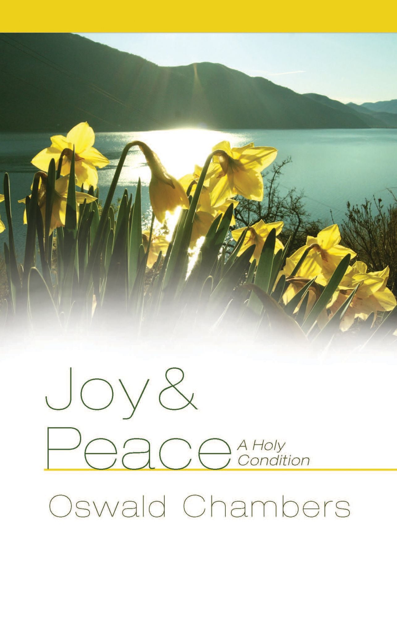 Joy & Peace: A Holy Condition