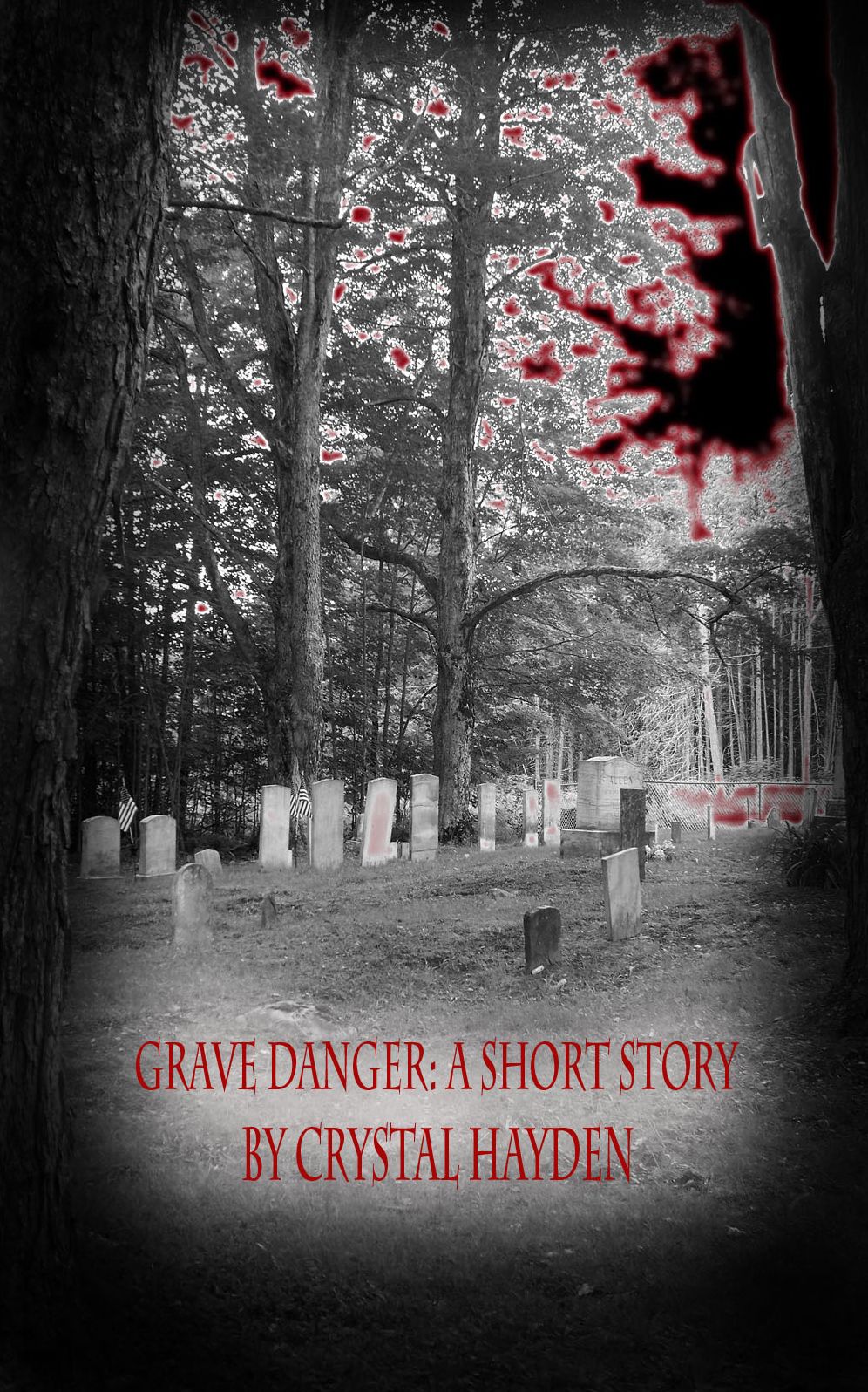 Grave Danger: A Short Story