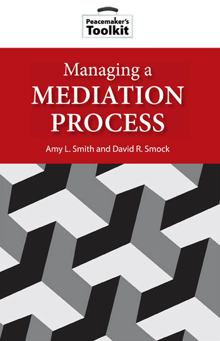 Managing a Mediation Process