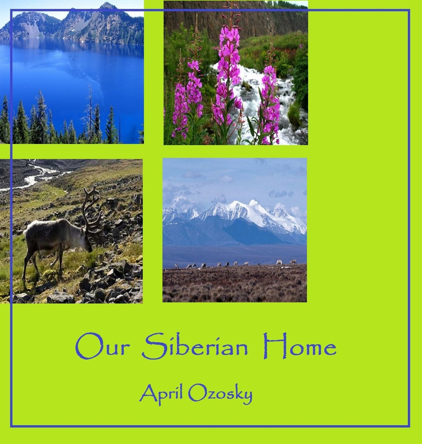 Our Siberian Home