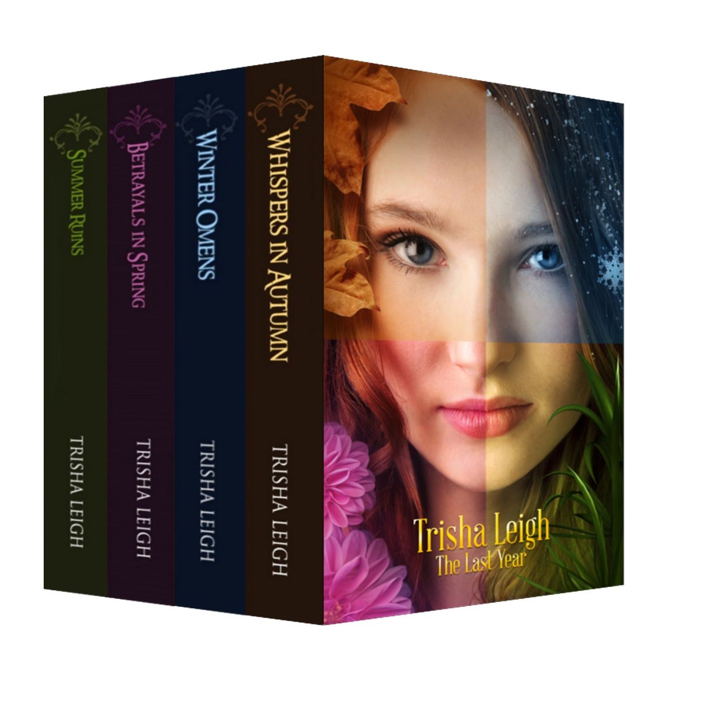 The Last Year Boxed Set