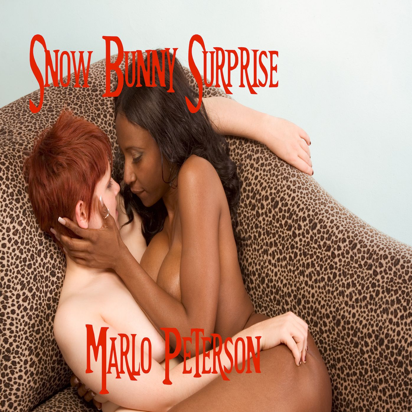 Snow Bunny Surprise (Interracial Gangbang Erotica)