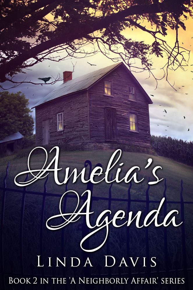 Amelia's Agenda (Erotic Romance)