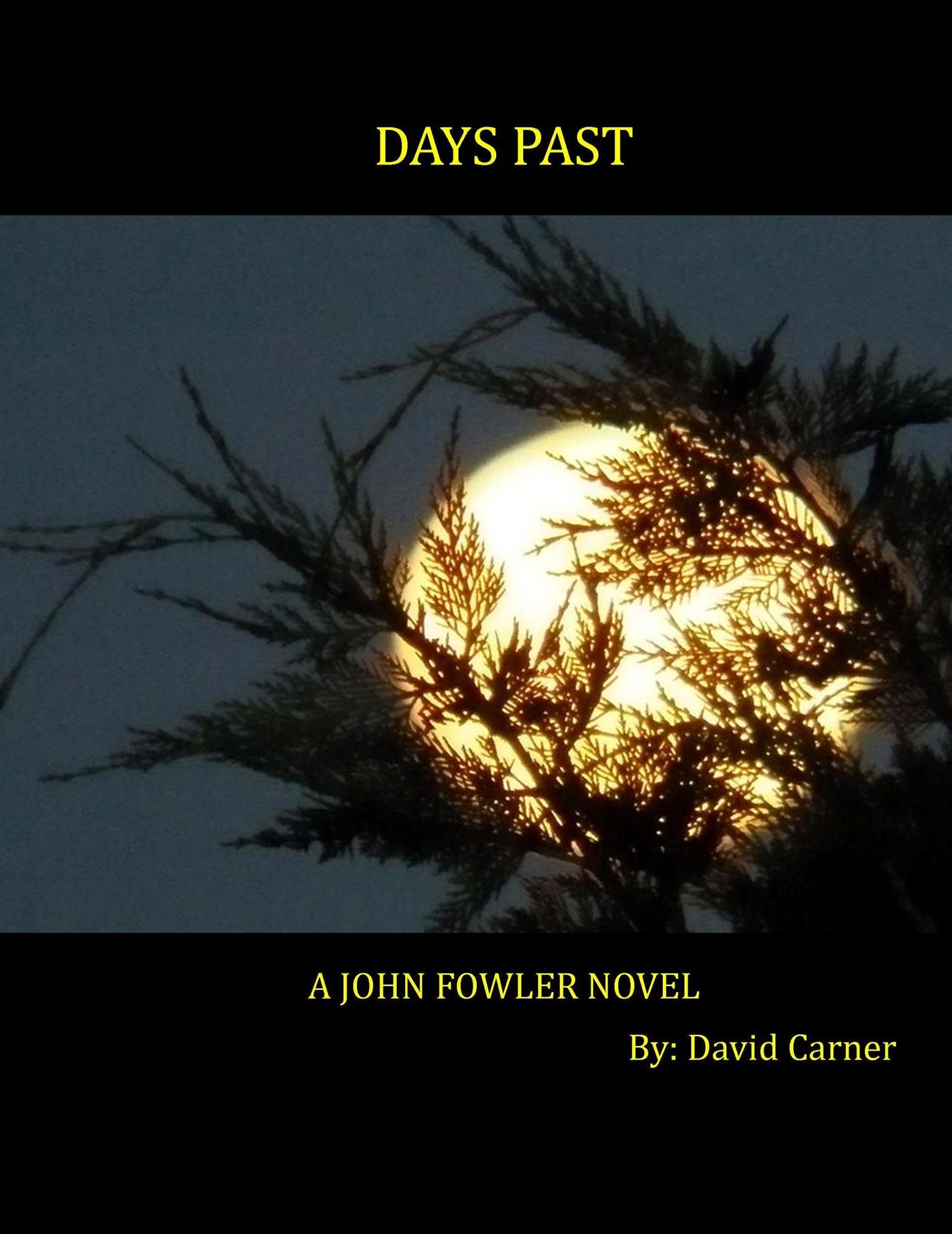 Days Past - A John Fowler Novel