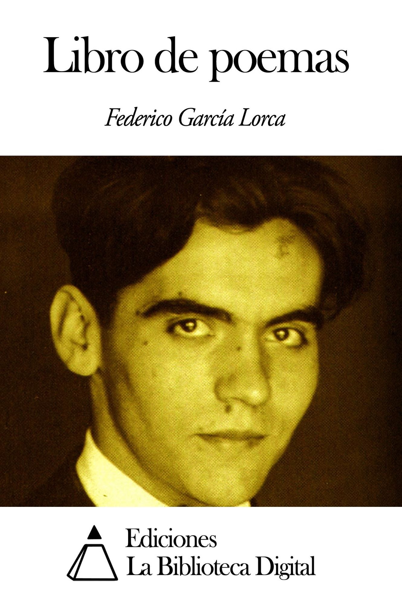 Libro de poemas