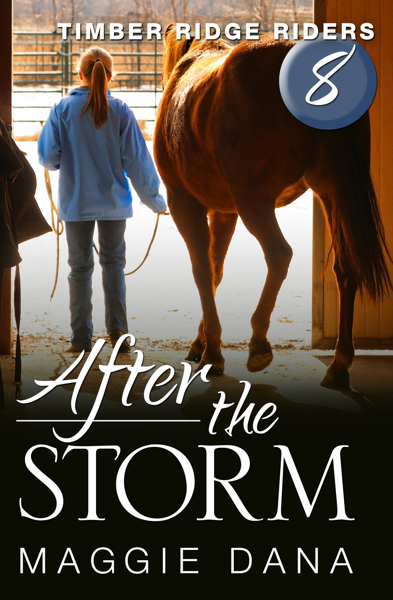 After the Storm