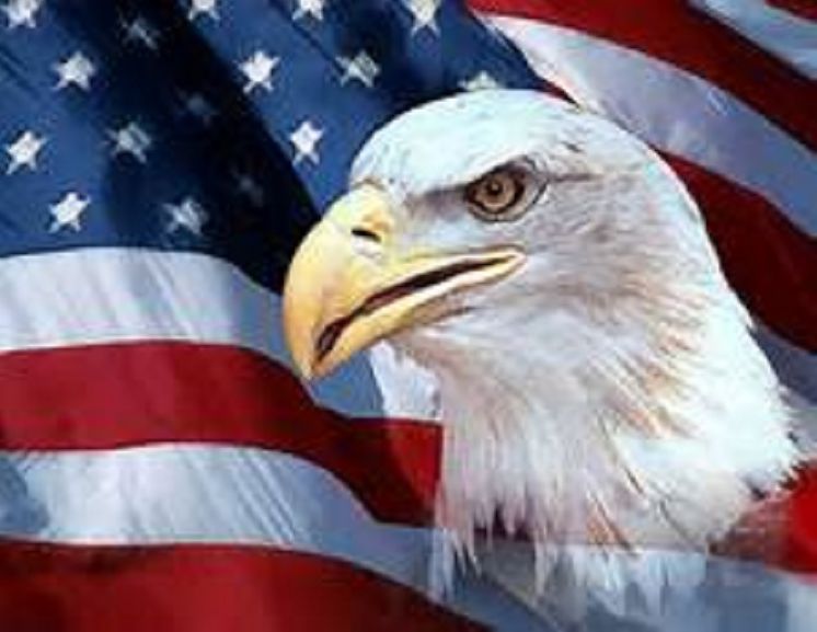 Best Seller The American ( adventure, fantasy, romantic, action, fiction, humorous, historical, romantic, thriller, crime, journey, battle, war, amazing, Greeks, Trogan war, romance )
