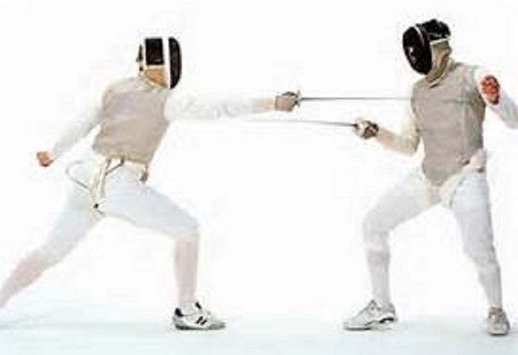 Best Seller The Art of Fencing ( fencing, lattice, fence, frame, game, play, online game, gaming jone, play station, play )