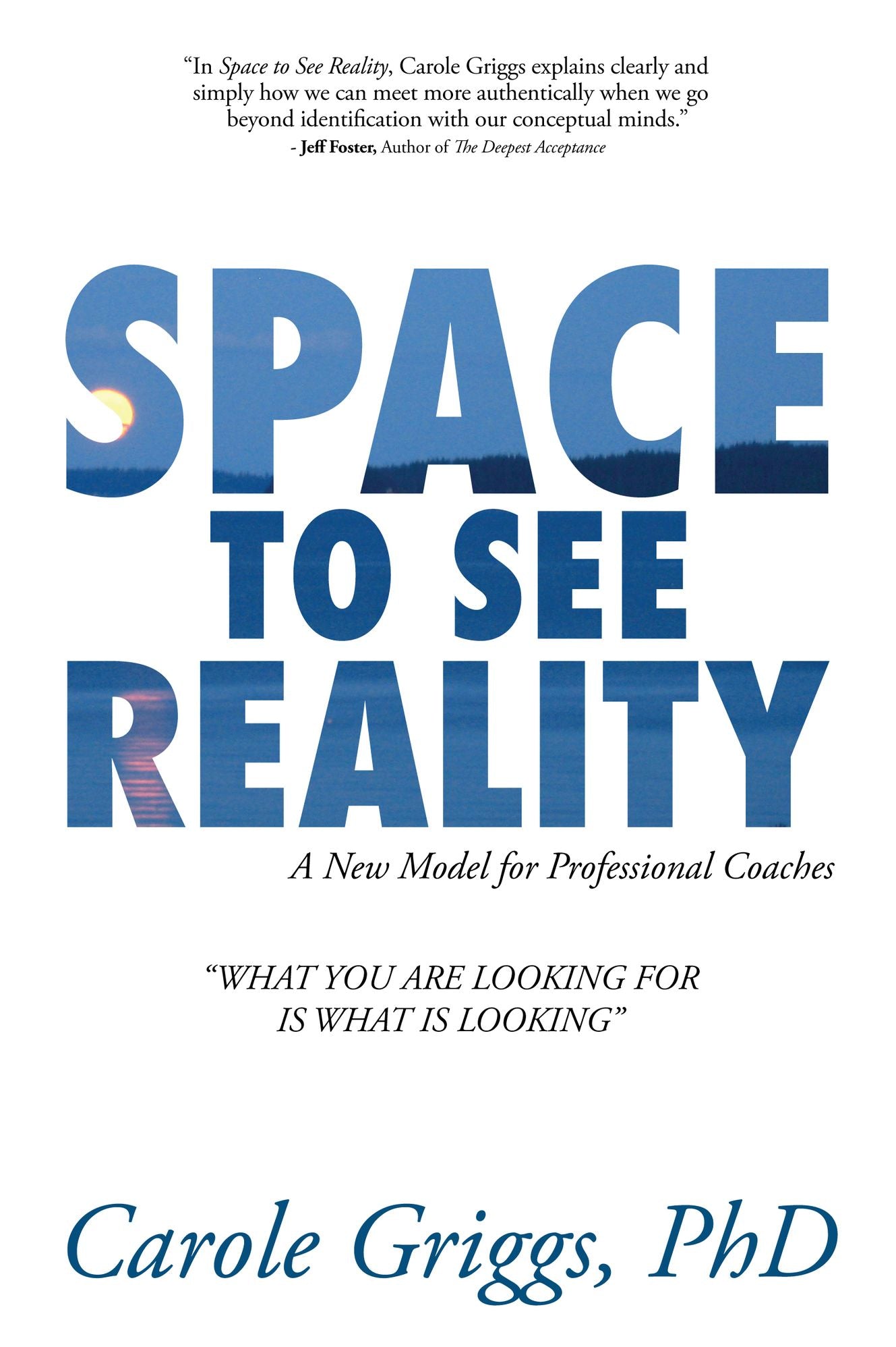 Space To See Reality: A New Model for Professional Coaches
