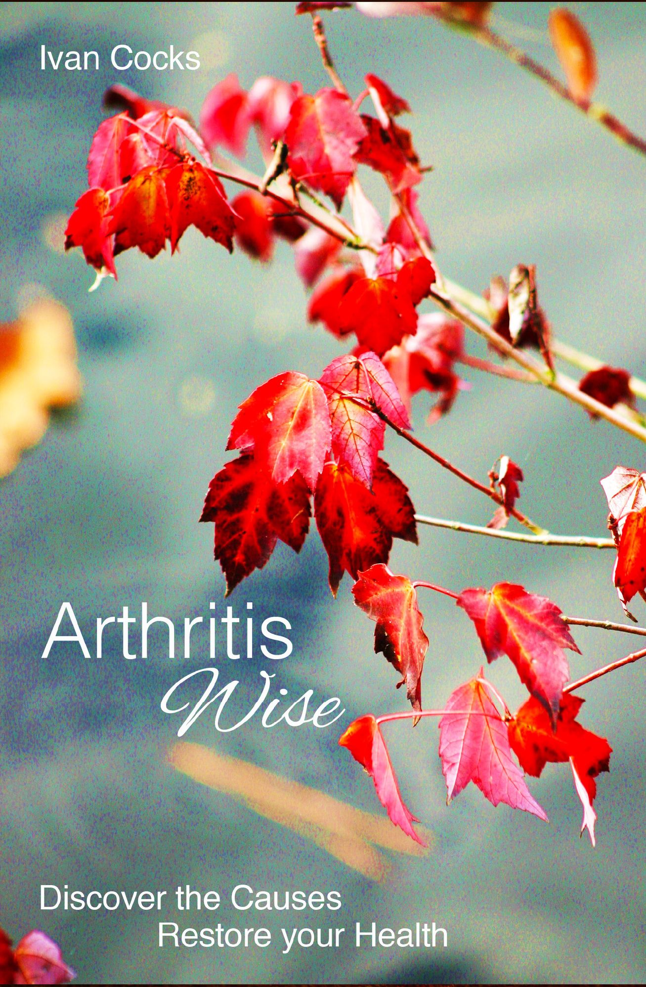 Arthritis Wise: Discover the Causes - Restore your Health