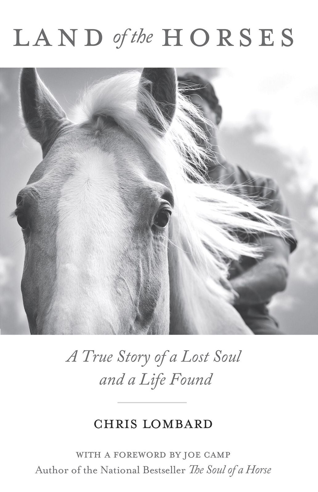 Land of the Horses: A True Story of a Lost Soul and a Life Found