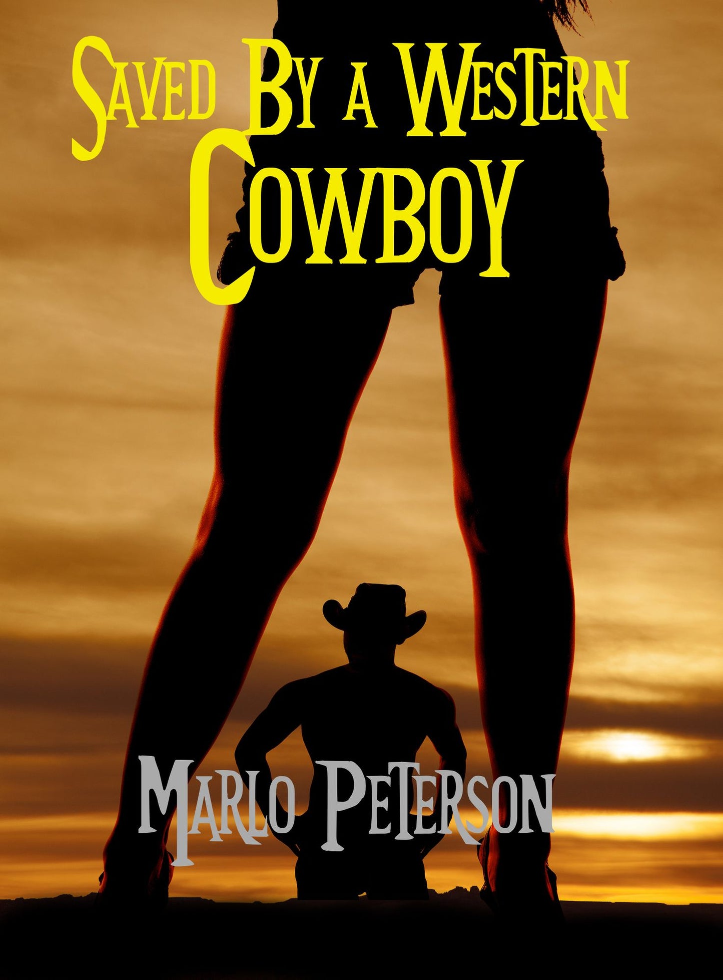 Saved By a Western Cowboy