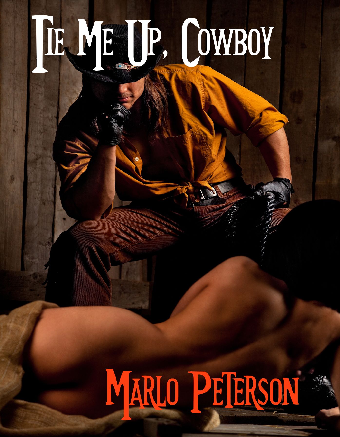 Tie Me Up, Cowboy (Cowboy Western Erotica)