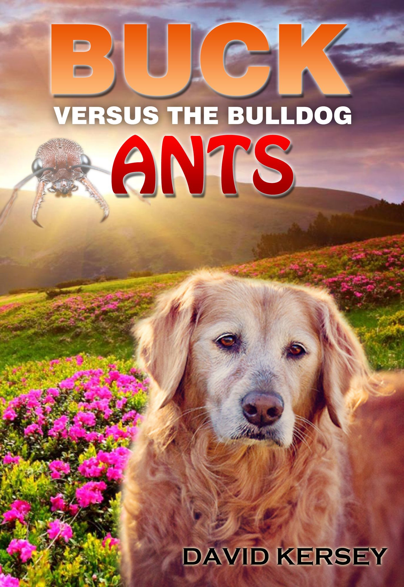 Buck Versus The Bulldog Ants Parts One And Two Combined