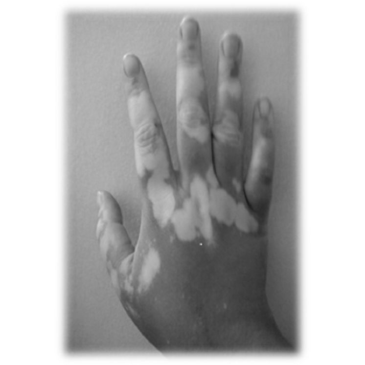 Five: An Anthology of Thematic Poetry, Short Stories, and Other Musings