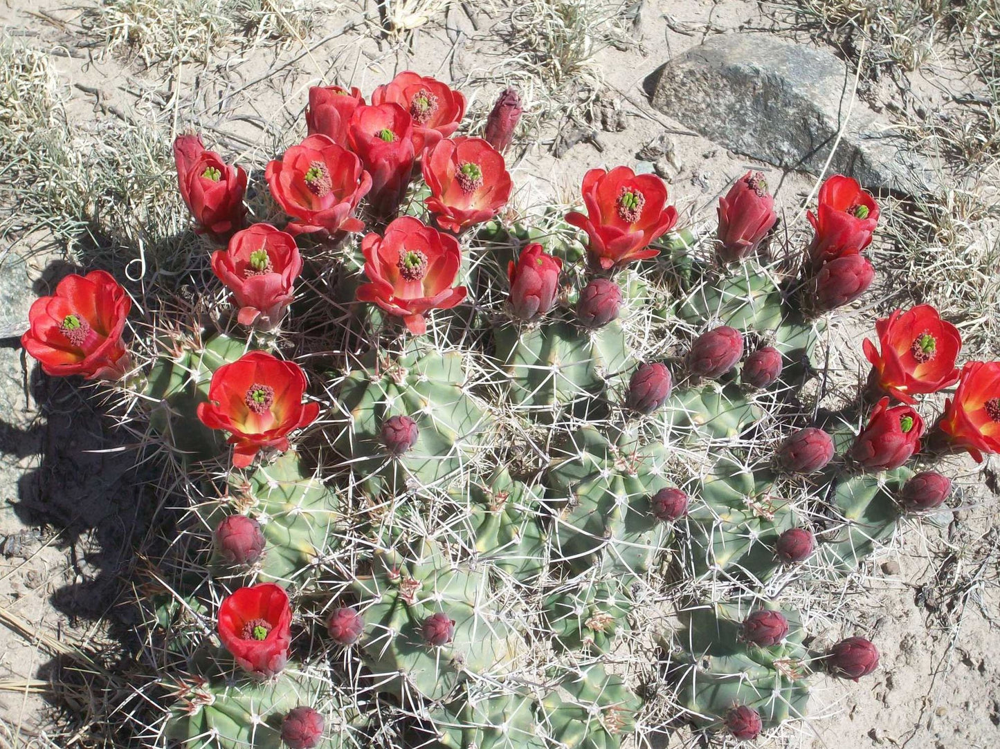 ANNE'S MYSTICAL ADVENTURES IN A SMALL TOWN: JUST KEEP LOVING