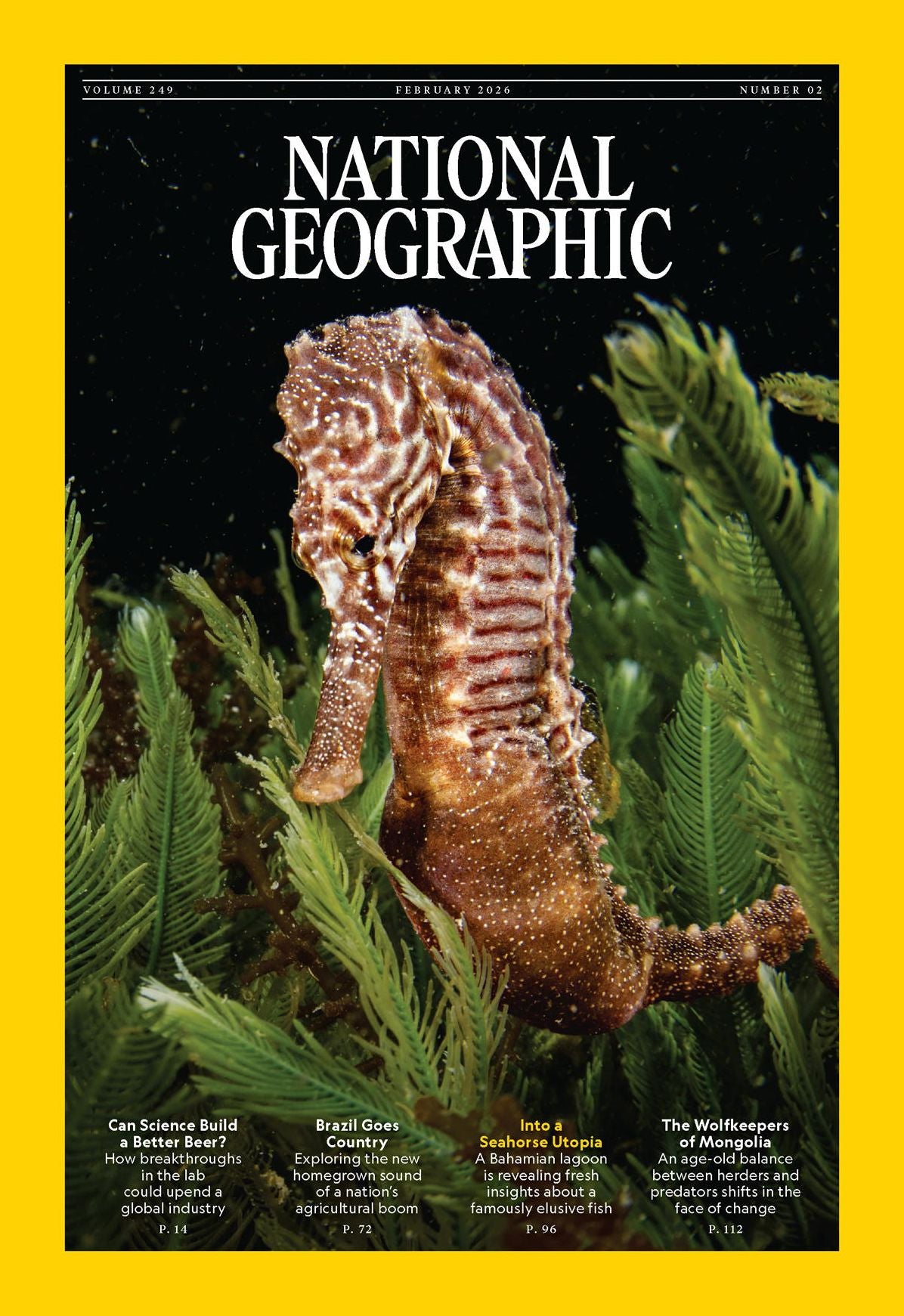 National Geographic - annual subscription