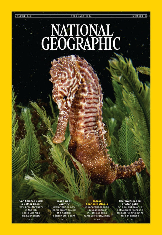 National Geographic - annual subscription