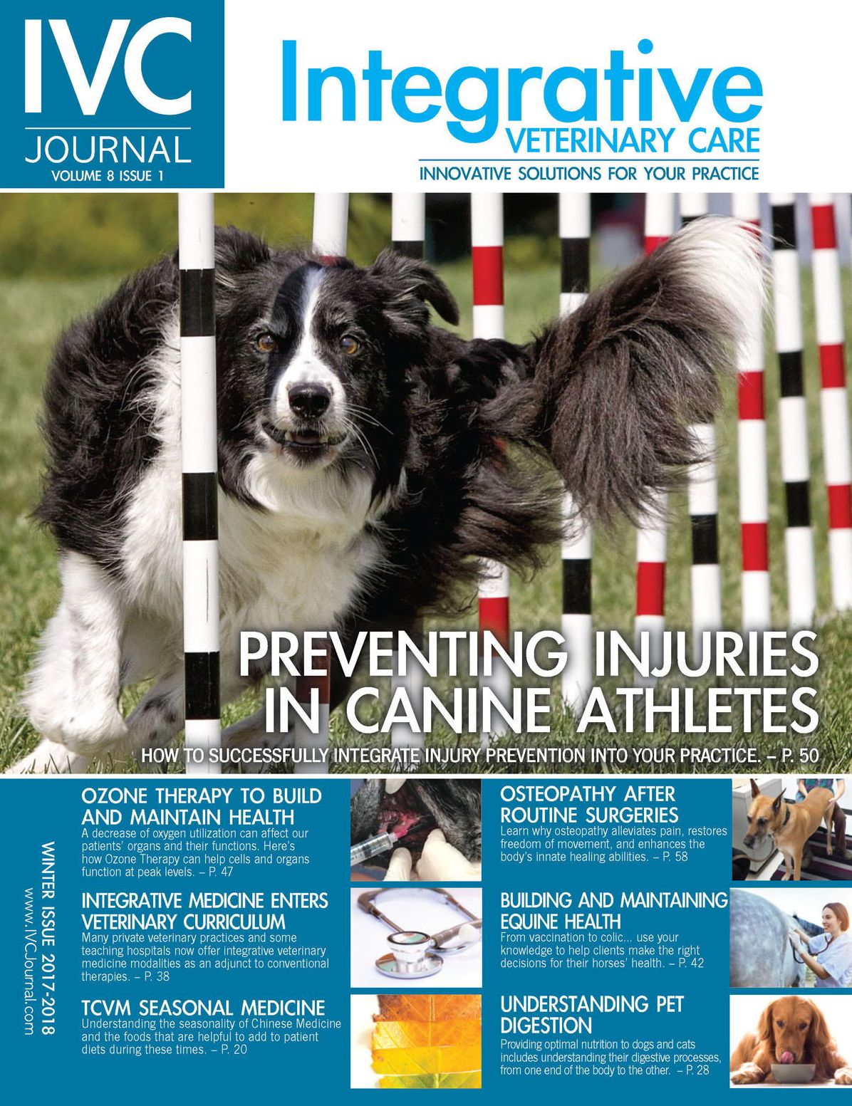 IVC Jounal - Integrative Veterinary Care Journal - annual subscription