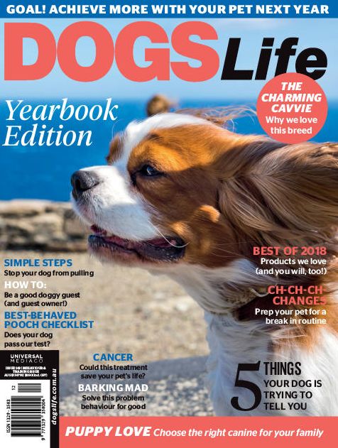 Dogs Life - annual subscription