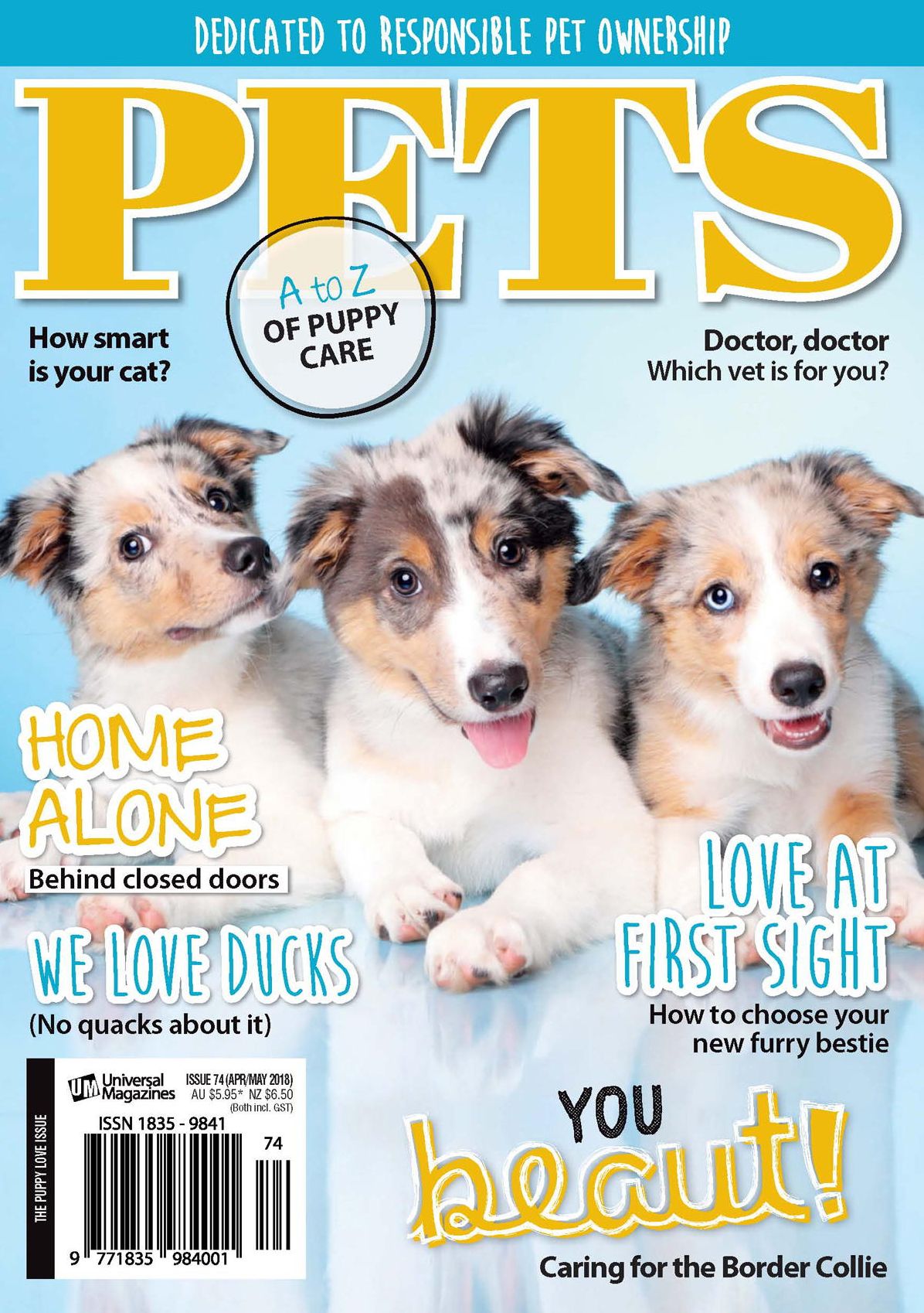 Pets - annual subscription