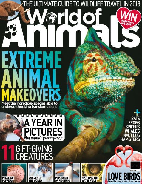World of Animals
