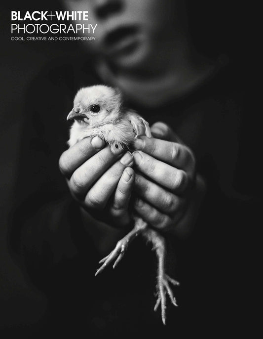 Black and White Photography - annual subscription