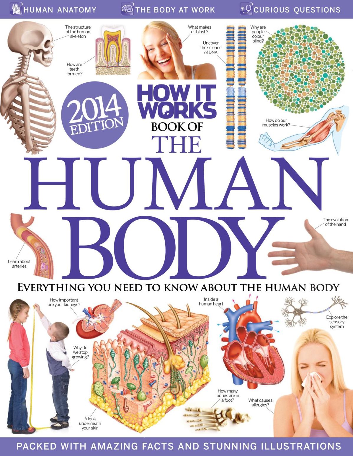 How It Works Book of The Human Body 1st Revised Edition