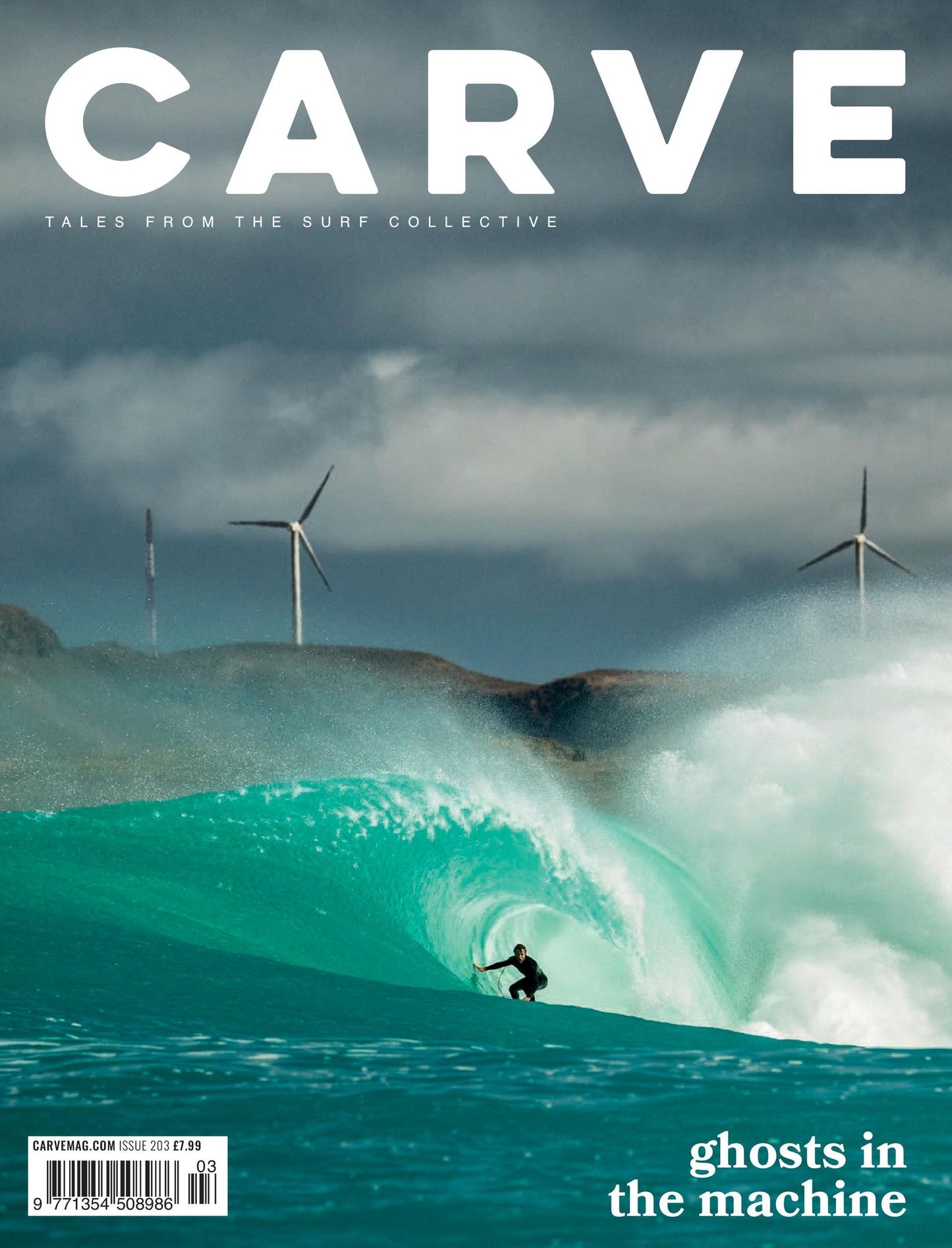 CARVE - annual subscription