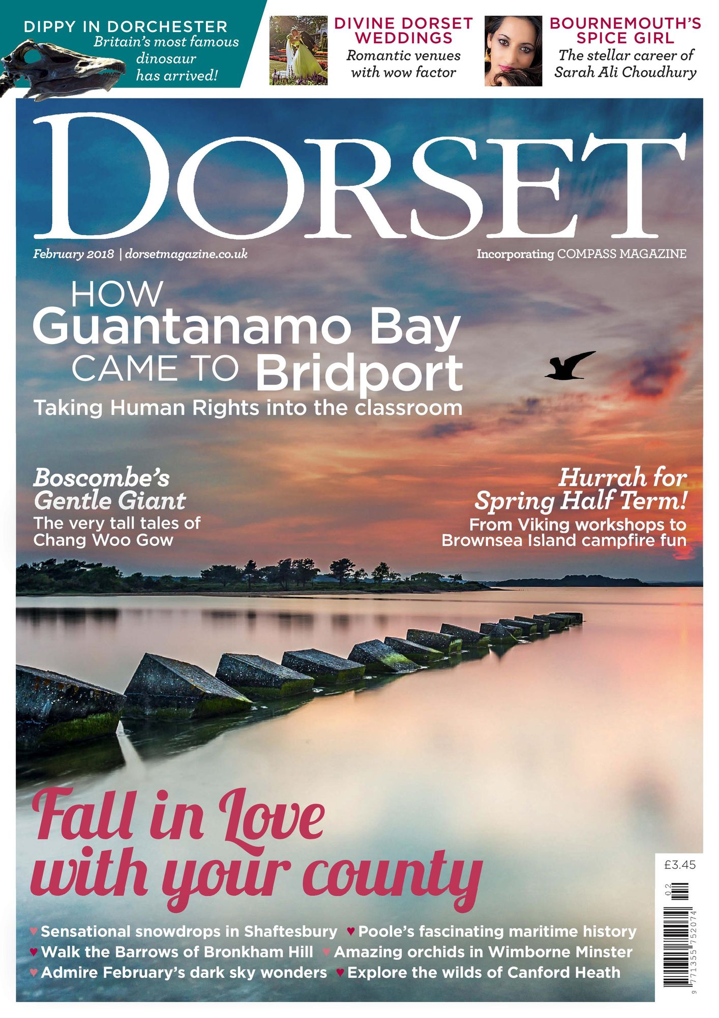 Dorset Magazine
