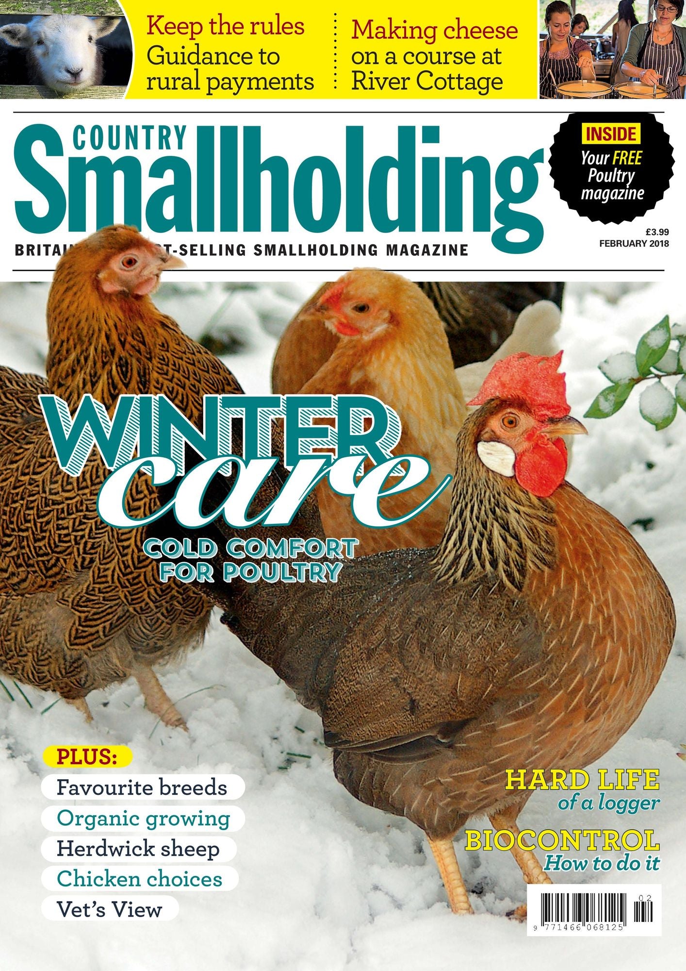 Country Smallholding - annual subscription