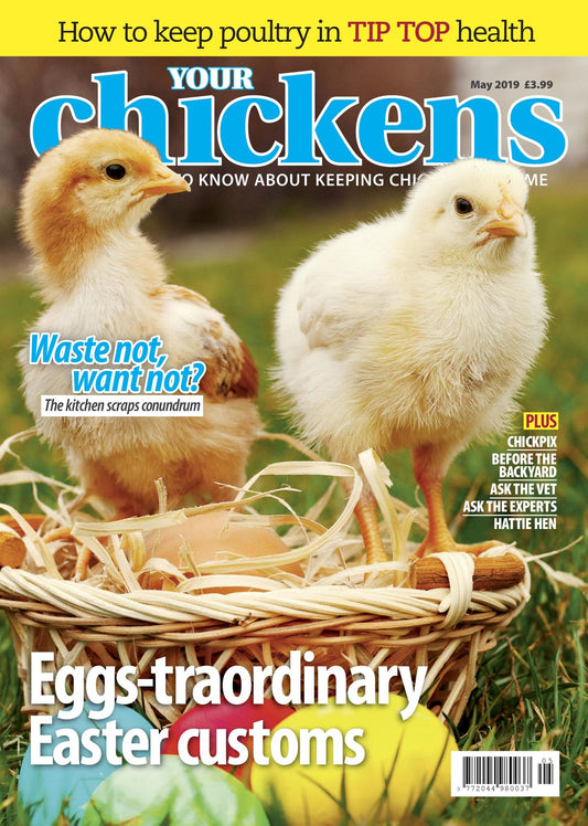 Your Chickens