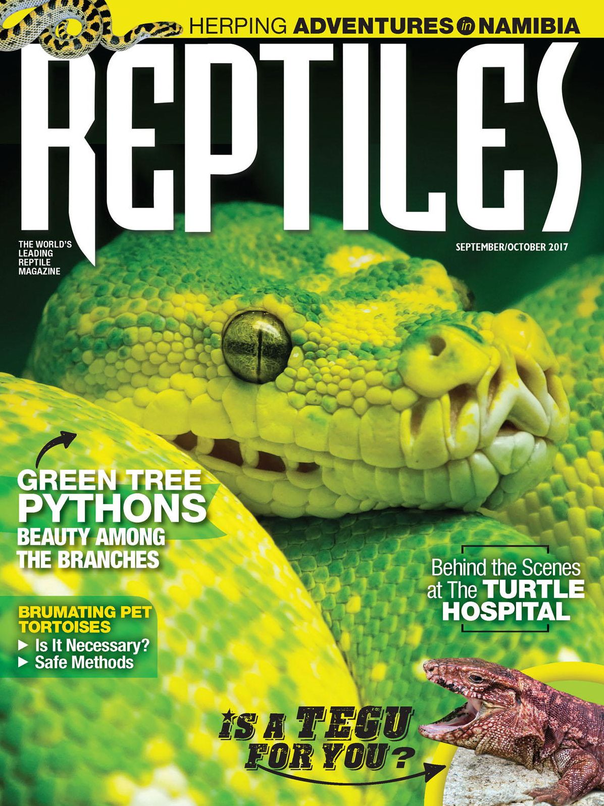 Reptiles - annual subscription